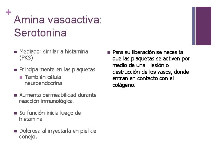 + Amina vasoactiva: Serotonina n Mediador similar a histamina (PKS) n Principalmente en las