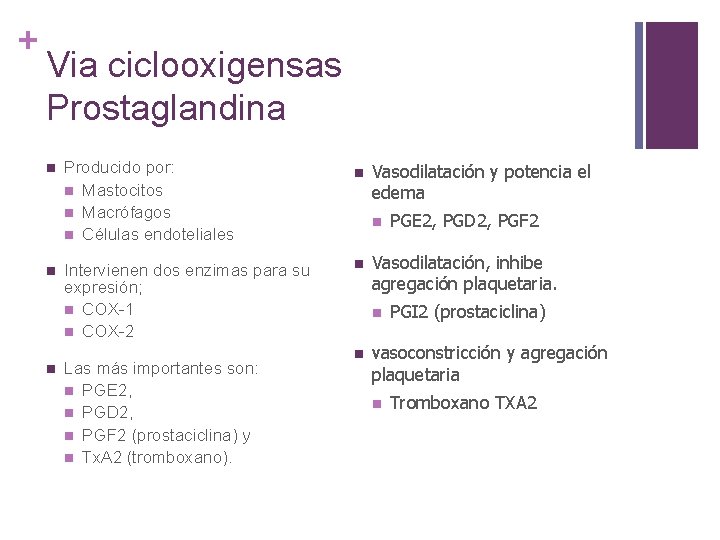 + Via ciclooxigensas Prostaglandina n n n Producido por: n Mastocitos n Macrófagos n