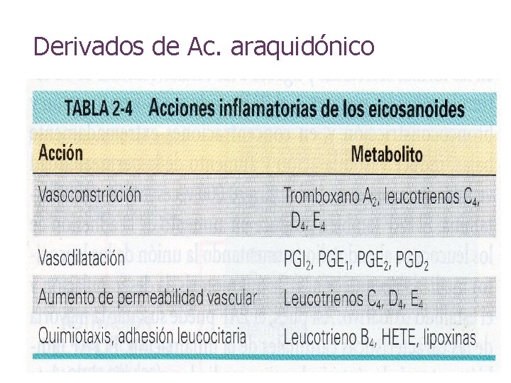 Derivados de Ac. araquidónico 