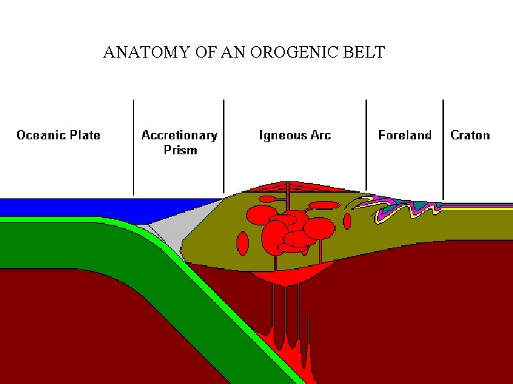 ANATOMY OF AN OROGENIC BELT 