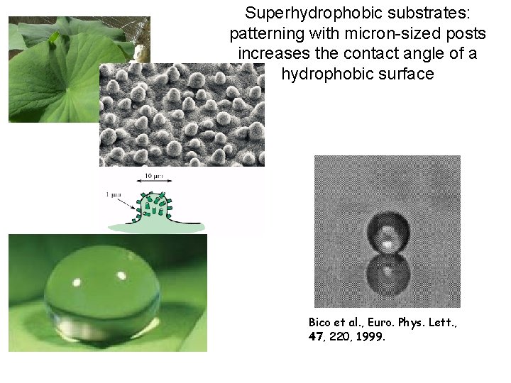 Superhydrophobic substrates: patterning with micron-sized posts increases the contact angle of a hydrophobic surface