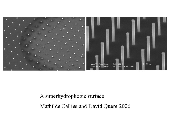 A superhydrophobic surface Mathilde Callies and David Quere 2006 