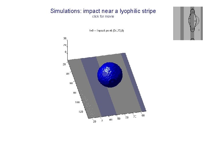 Simulations: impact near a lyophilic stripe click for movie 