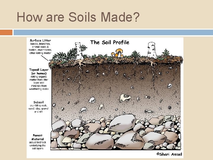 How are Soils Made? 