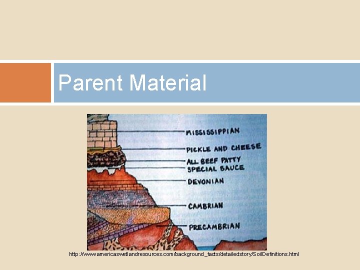 Parent Material http: //www. americaswetlandresources. com/background_facts/detailedstory/Soil. Definitions. html 