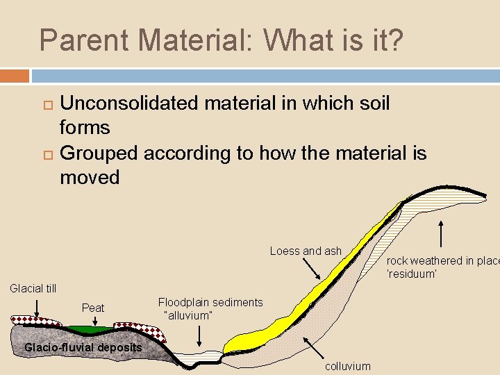 Parent Material: What is it? Unconsolidated material in which soil forms Grouped according to