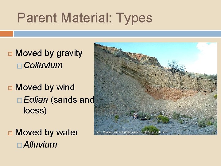 Parent Material: Types Moved by gravity � Colluvium Moved by wind � Eolian (sands