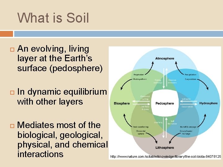 What is Soil An evolving, living layer at the Earth’s surface (pedosphere) In dynamic