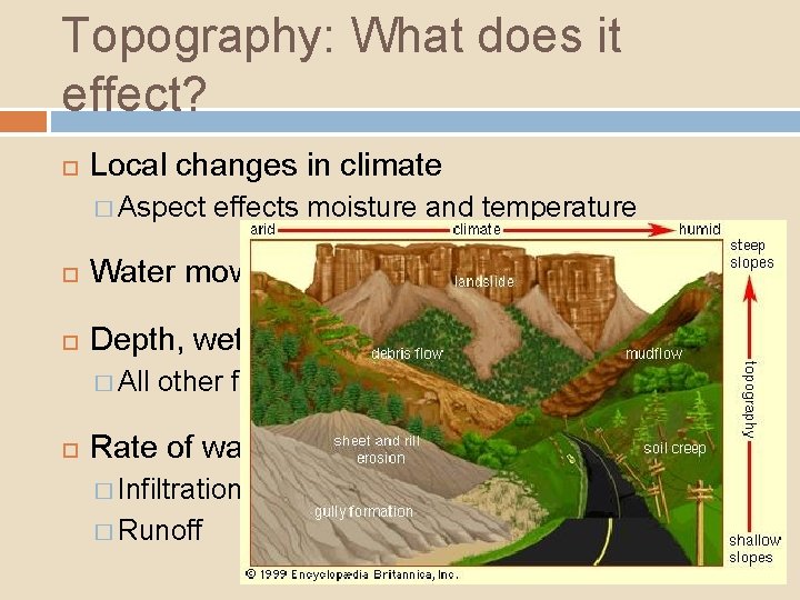 Topography: What does it effect? Local changes in climate � Aspect effects moisture and