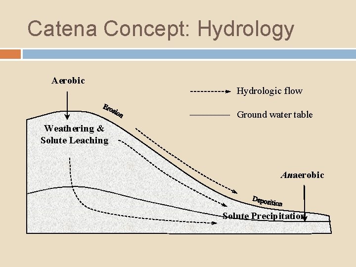 Catena Concept: Hydrology Aerobic Hydrologic flow Ground water table Weathering & Solute Leaching Anaerobic