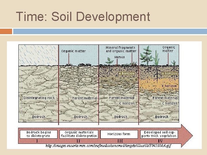 Time: Soil Development 