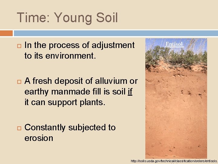 Time: Young Soil In the process of adjustment to its environment. A fresh deposit