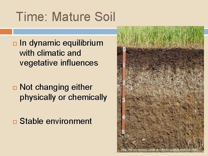 Time: Mature Soil In dynamic equilibrium with climatic and vegetative influences Not changing either