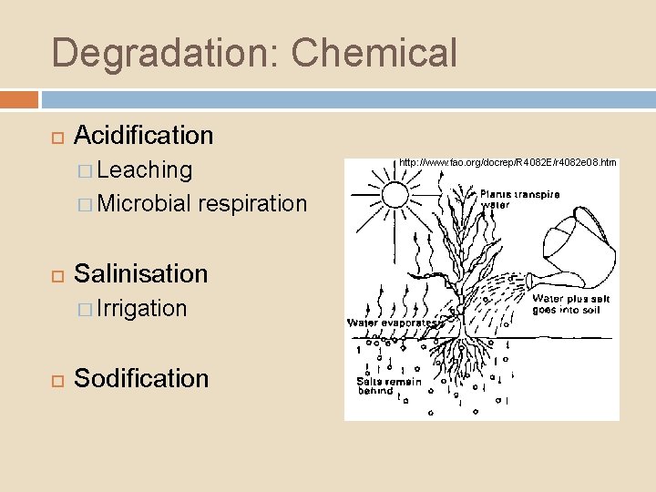 Degradation: Chemical Acidification � Leaching � Microbial http: //www. fao. org/docrep/R 4082 E/r 4082