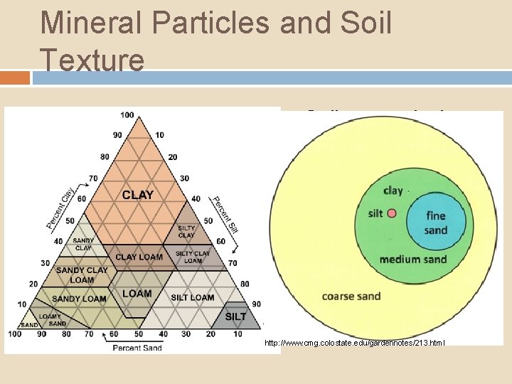 Mineral Particles and Soil Texture Sand: 0. 05 -2. 00 mm Silt: 0. 002