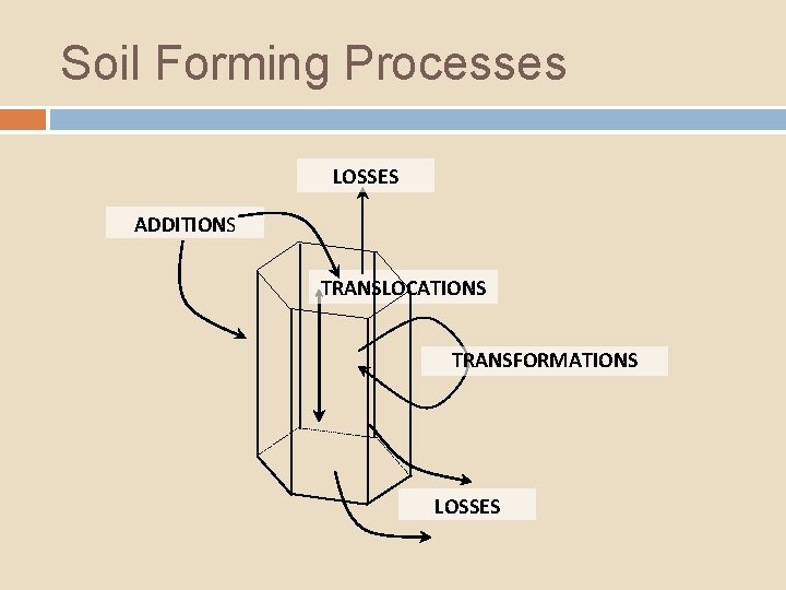 Soil Forming Processes LOSSES ADDITIONS TRANSLOCATIONS TRANSFORMATIONS LOSSES 