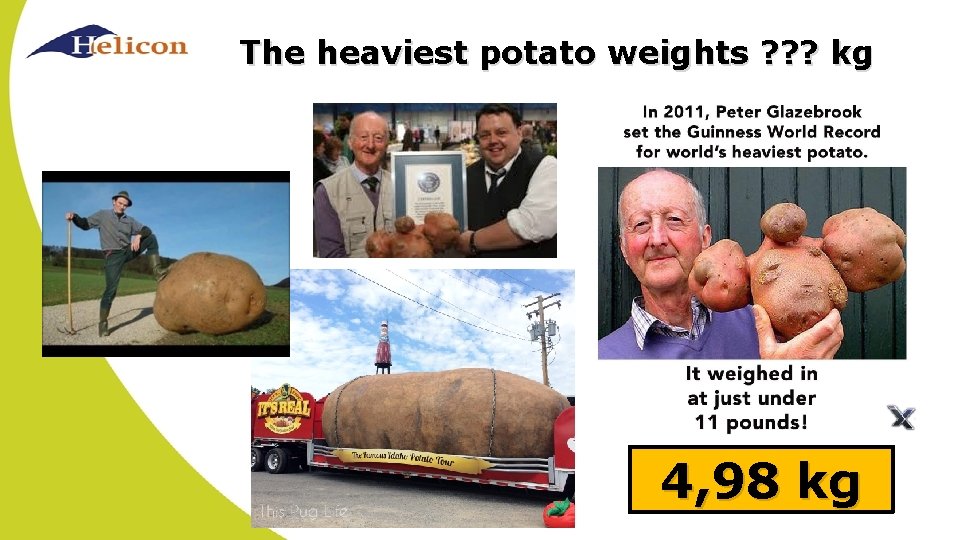 The heaviest potato weights ? ? ? kg 4, 98 kg 