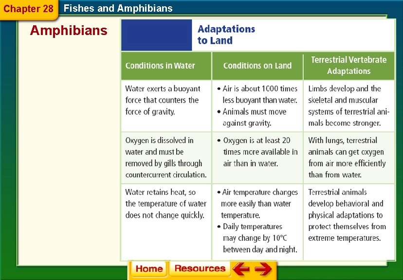 Chapter 28 Fishes and Amphibians Section 1 Fishes