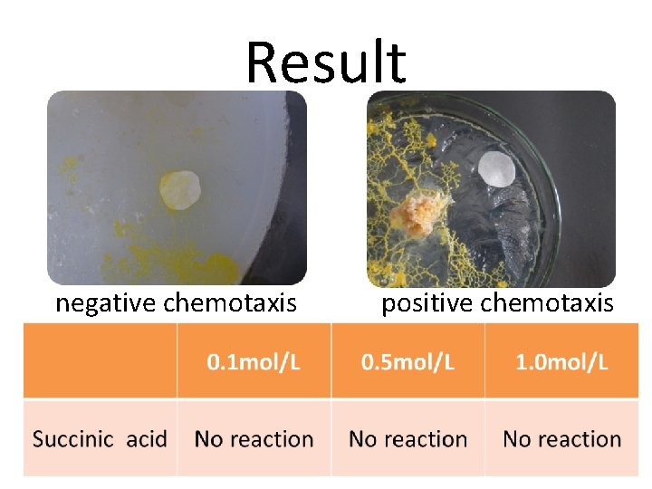 Result negative chemotaxis 　　 positive chemotaxis 