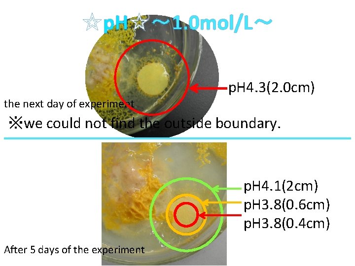 ☆p. H☆～ 1. 0 mol/L～ 　 p. H 4. 3(2. 0 cm) the next