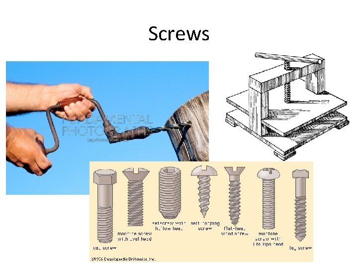 Screws 