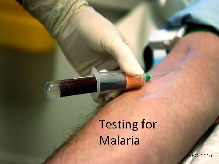 Testing for Malaria WHO, 2010 