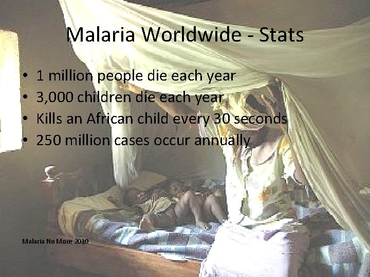 Malaria Worldwide - Stats • • 1 million people die each year 3, 000
