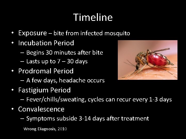 Timeline • Exposure – bite from infected mosquito • Incubation Period – Begins 30