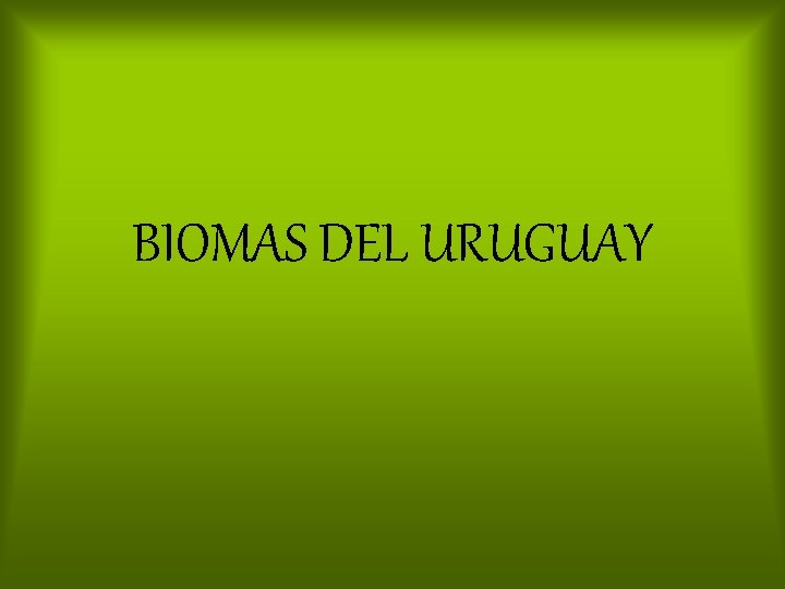 BIOMAS DEL URUGUAY 