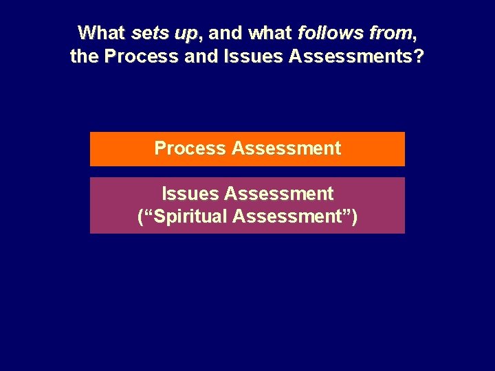 What sets up, and what follows from, the Process and Issues Assessments? Process Assessment