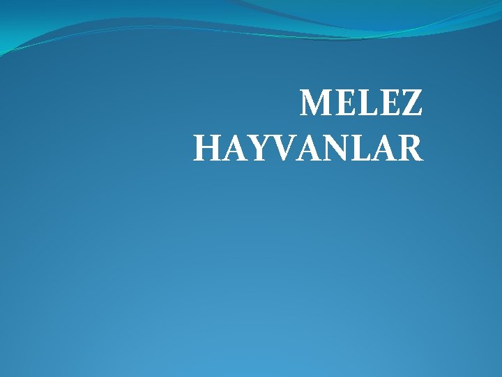 MELEZ HAYVANLAR 