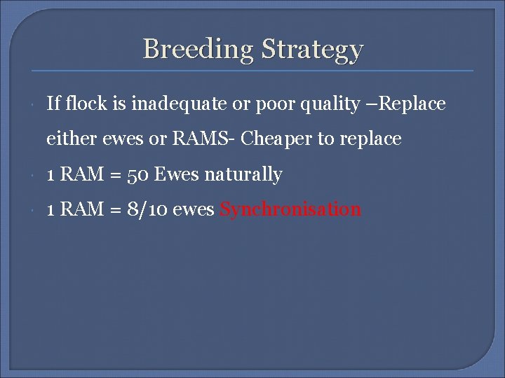 Breeding Strategy If flock is inadequate or poor quality –Replace either ewes or RAMS-