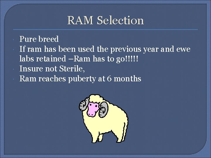 RAM Selection Pure breed If ram has been used the previous year and ewe