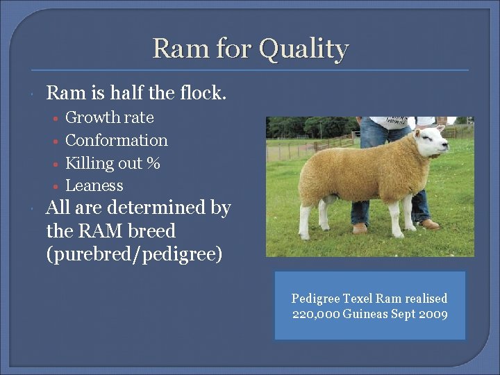 Ram for Quality Ram is half the flock. • • Growth rate Conformation Killing