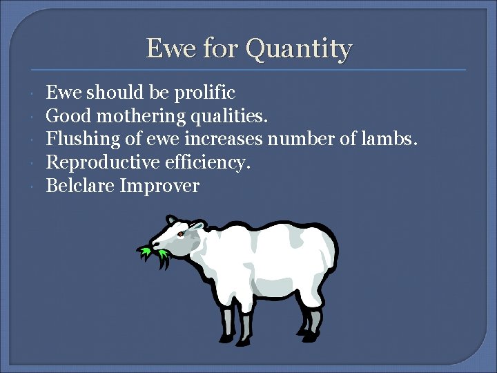 Ewe for Quantity Ewe should be prolific Good mothering qualities. Flushing of ewe increases