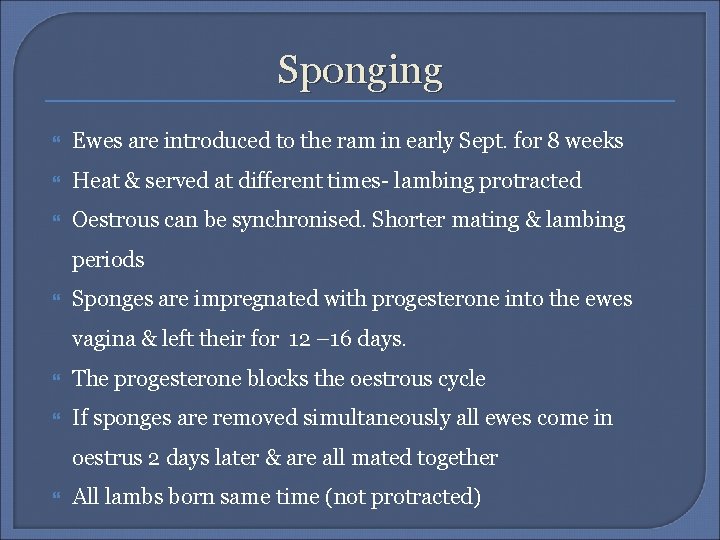 Sponging Ewes are introduced to the ram in early Sept. for 8 weeks Heat