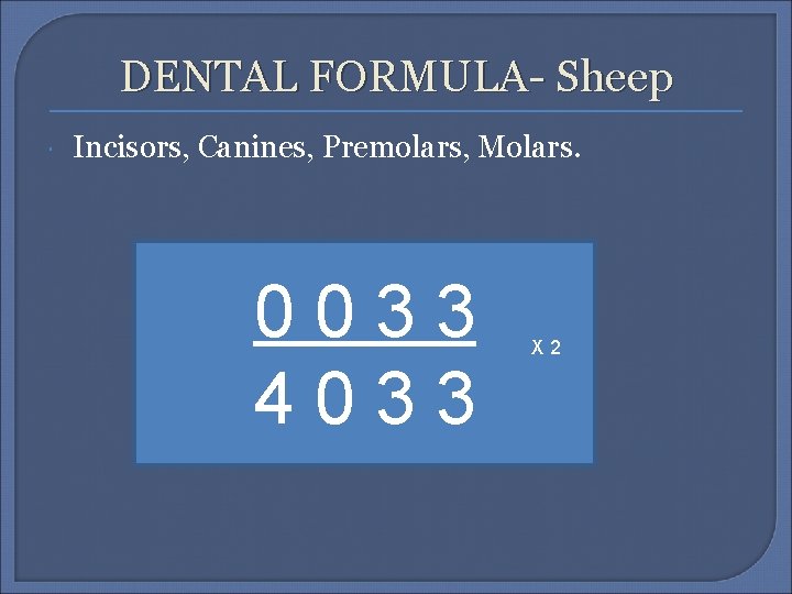 DENTAL FORMULA- Sheep Incisors, Canines, Premolars, Molars. 0033 4033 X 2 