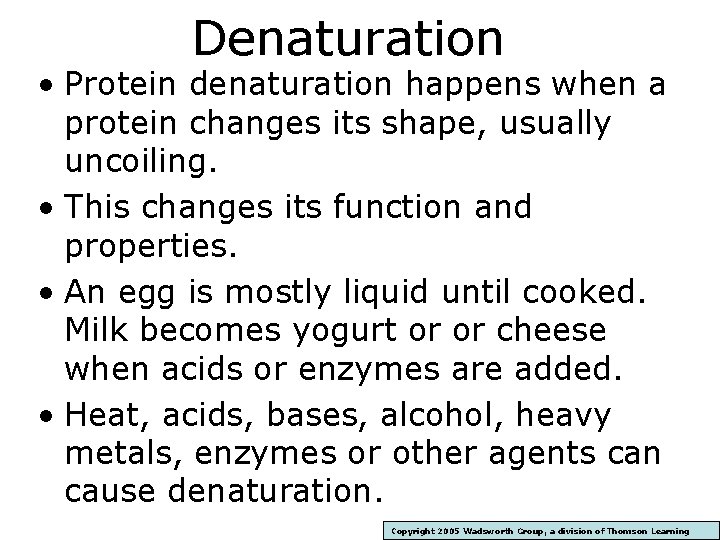 Denaturation • Protein denaturation happens when a protein changes its shape, usually uncoiling. •
