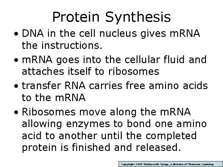 Protein Synthesis • DNA in the cell nucleus gives m. RNA the instructions. •