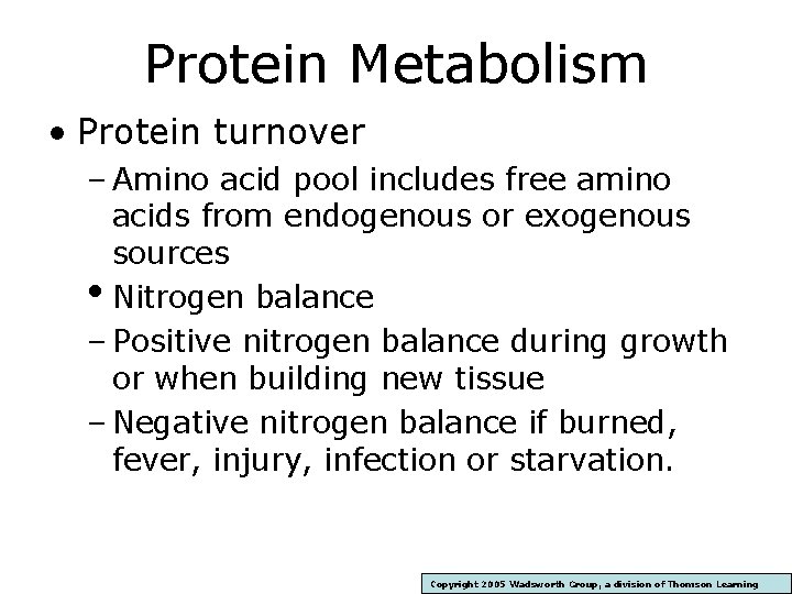 Protein Metabolism • Protein turnover – Amino acid pool includes free amino acids from