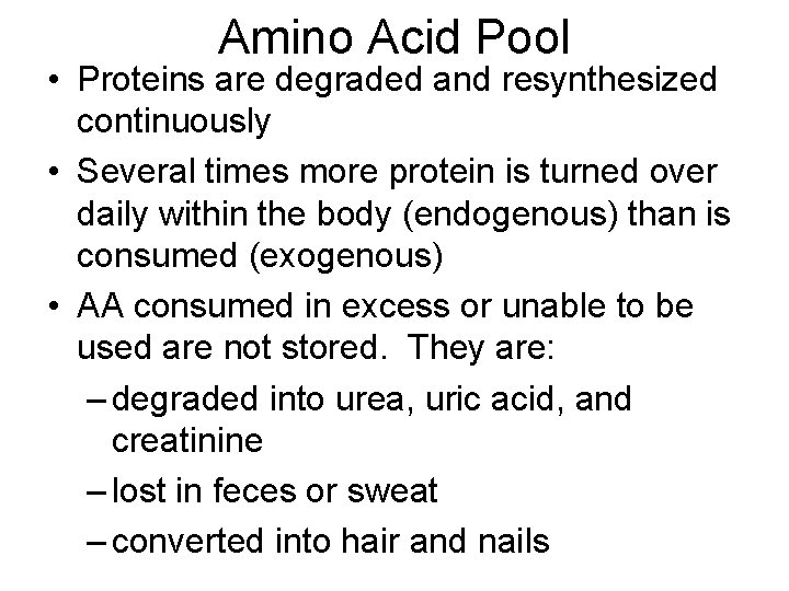 Amino Acid Pool • Proteins are degraded and resynthesized continuously • Several times more