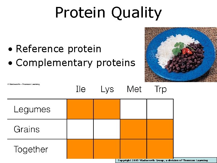 Protein Quality • Reference protein • Complementary proteins Copyright 2005 Wadsworth Group, a division