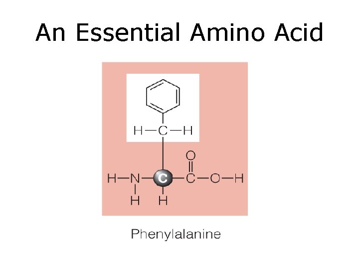 An Essential Amino Acid 