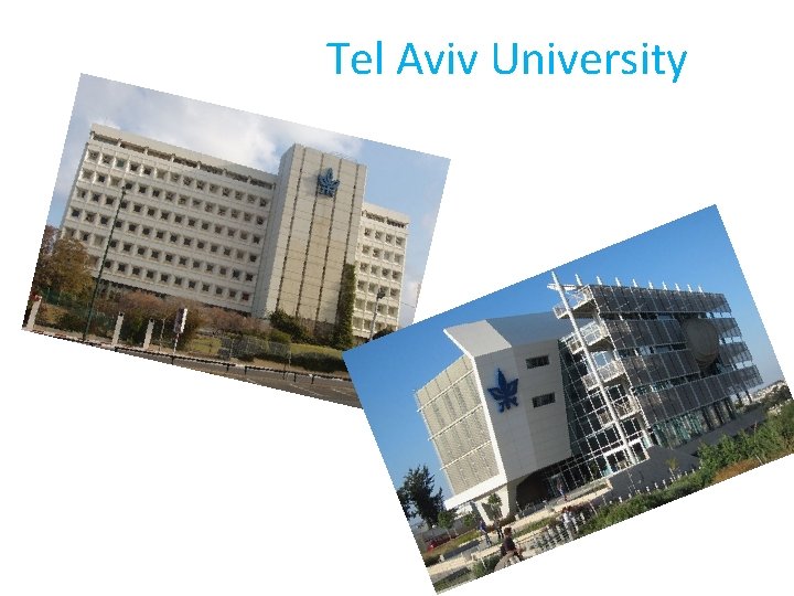 Tel Aviv University 