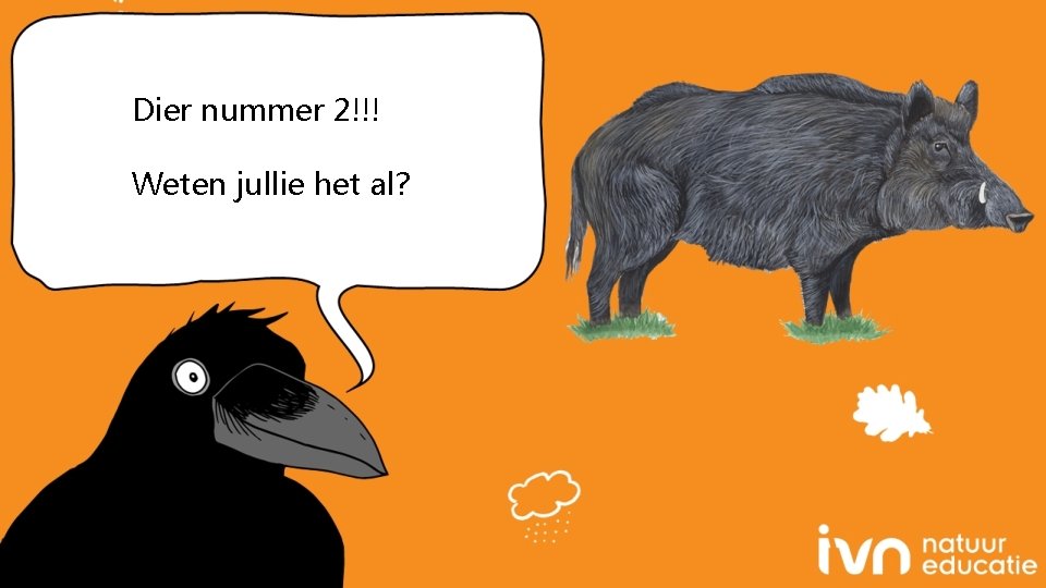 Dier nummer 2!!! Weten jullie het al? 