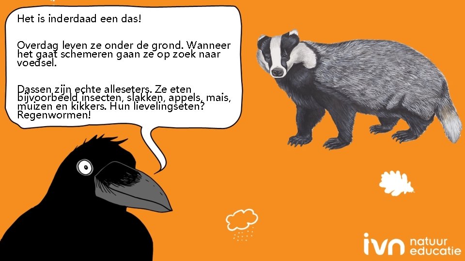 Het is inderdaad een das! Overdag leven ze onder de grond. Wanneer het gaat