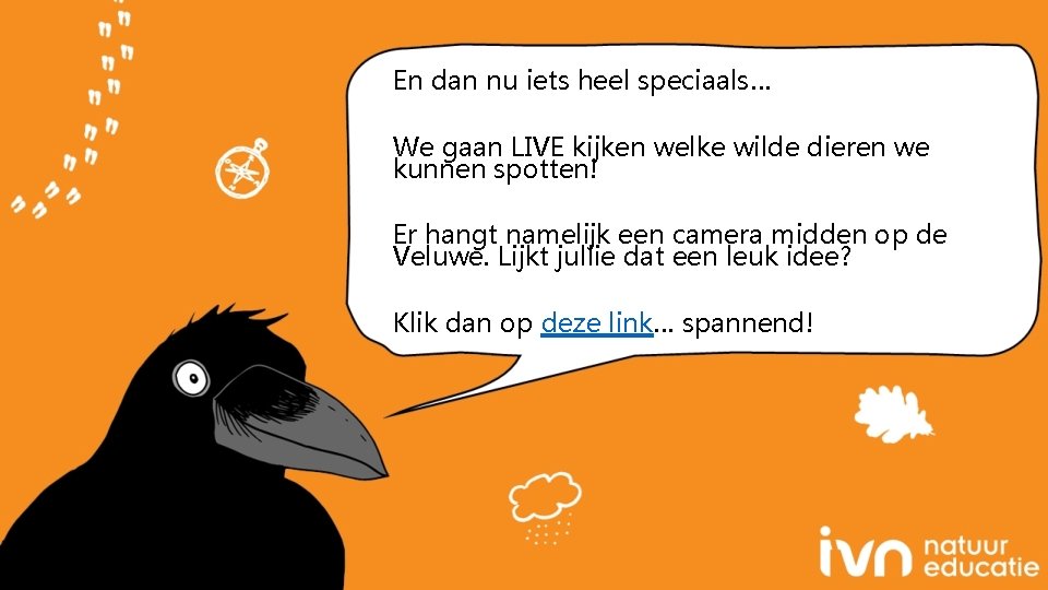 En dan nu iets heel speciaals… We gaan LIVE kijken welke wilde dieren we