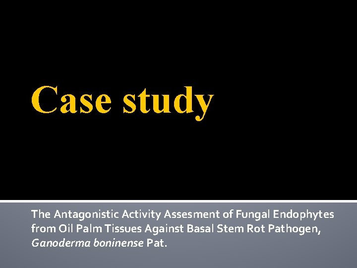 Case study The Antagonistic Activity Assesment of Fungal Endophytes from Oil Palm Tissues Against