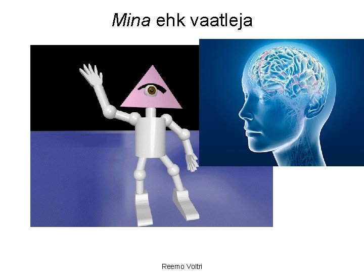 Mina ehk vaatleja Reemo Voltri 