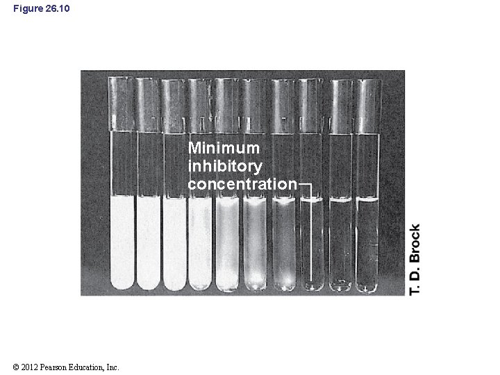 Figure 26. 10 Minimum inhibitory concentration © 2012 Pearson Education, Inc. 